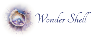 Wonder Shell - A Modern Fable